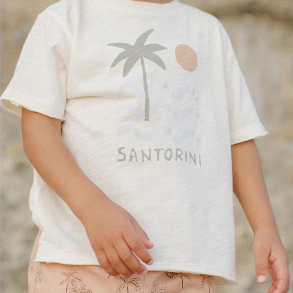 Rylee + cru raw edge tee santirini